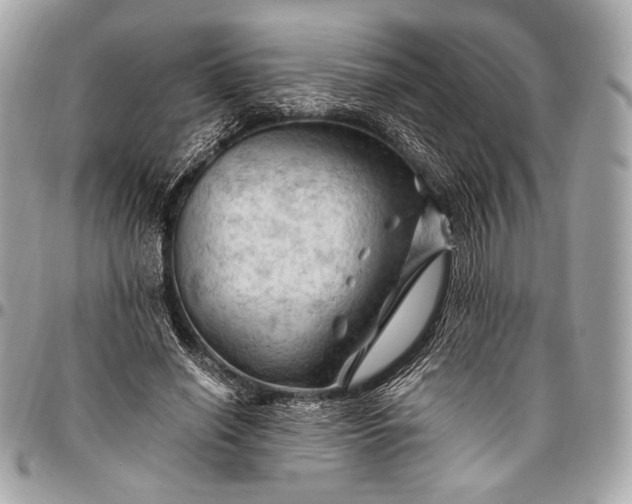 X0000096440638200802071749