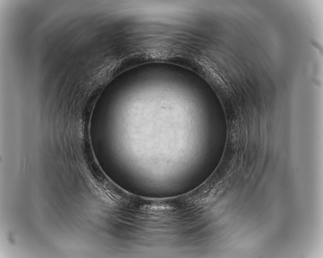 X0000096440639200802071749