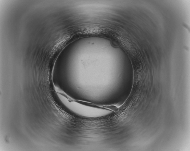 X0000096440640200802071749