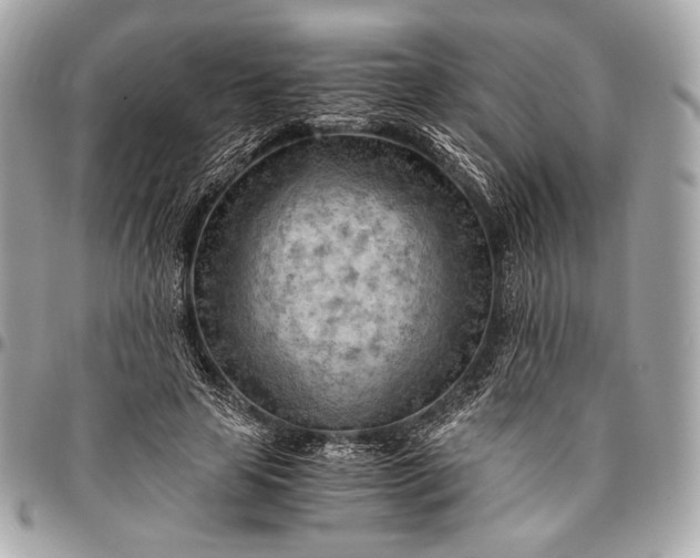 X0000096440641200802071749