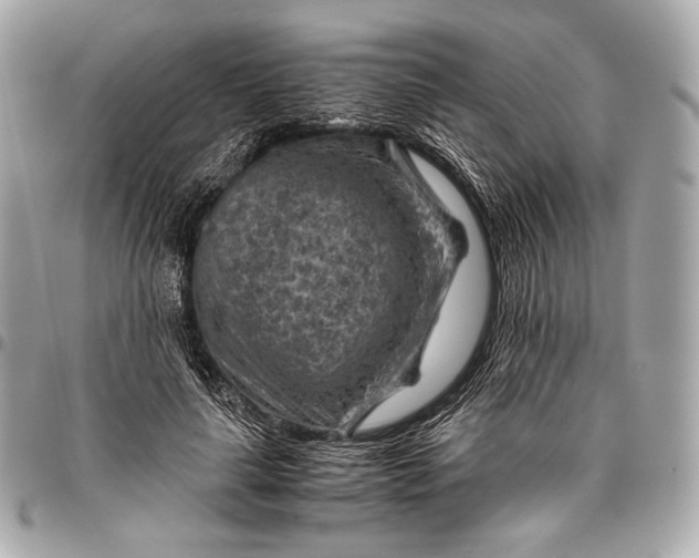 X0000096440643200802071749