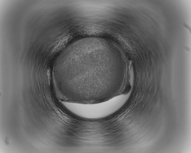 X0000096440644200802071749