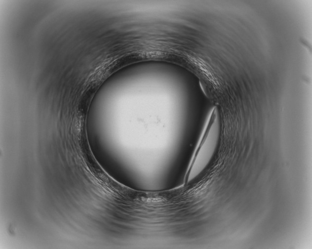 X0000096440645200802071749