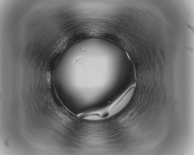 X0000096440646200802071749