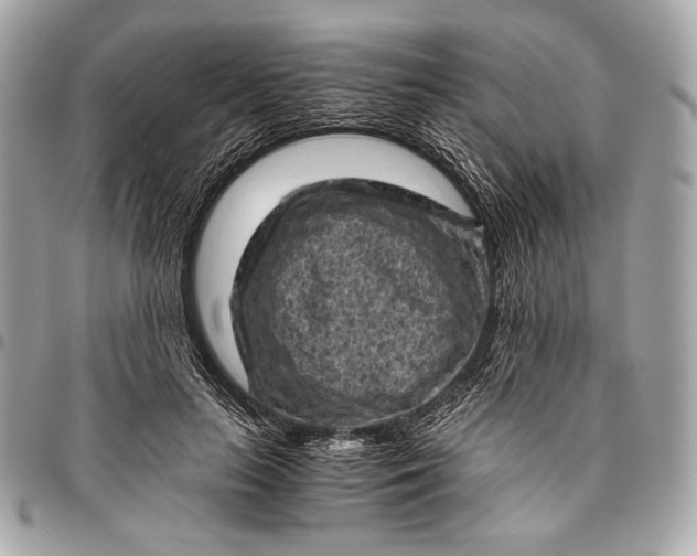 X0000096440647200802071749