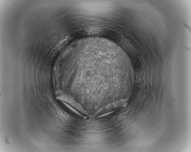 X0000096440648200802071749