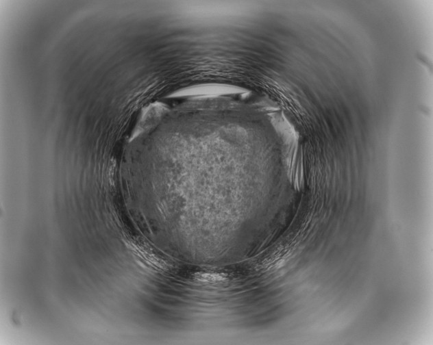 X0000096440649200802071749