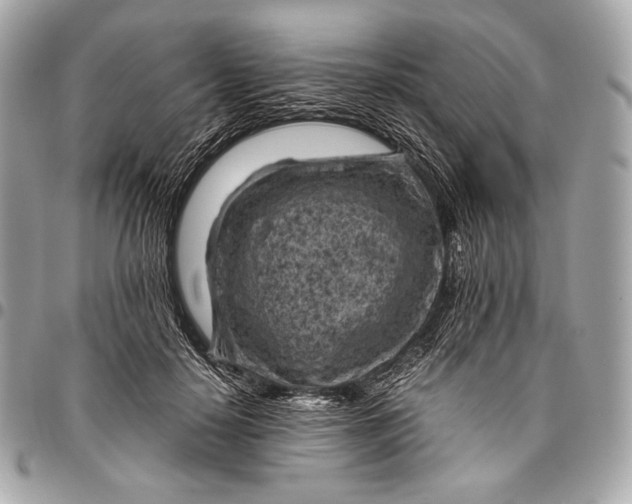 X0000096440650200802071749