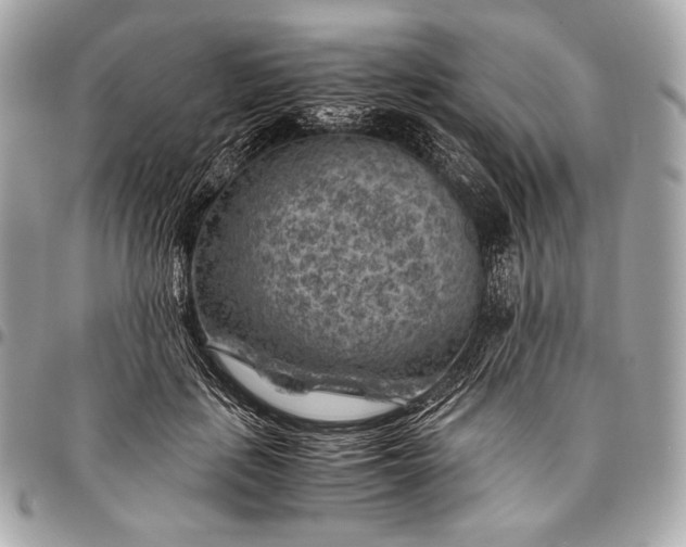 X0000096440651200802071749