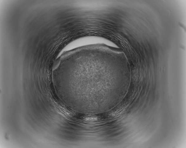 X0000096440653200802071749