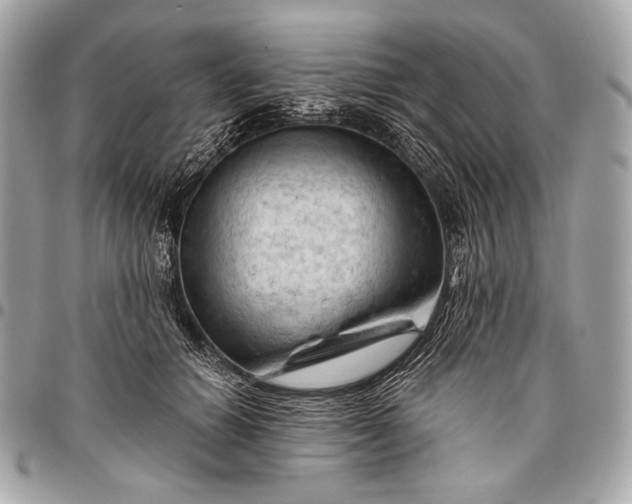 X0000096440654200802071749