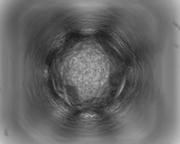 X0000096440655200802071749