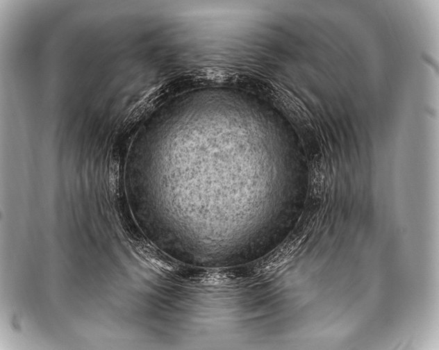 X0000096440656200802071749