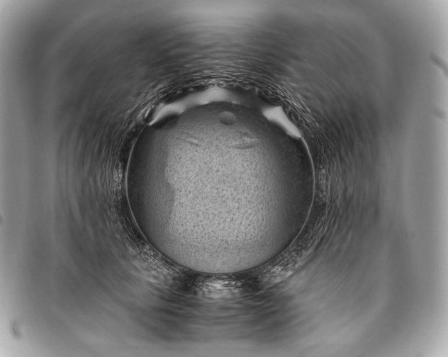 X0000096440657200802071749