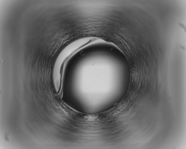 X0000096440660200802071749