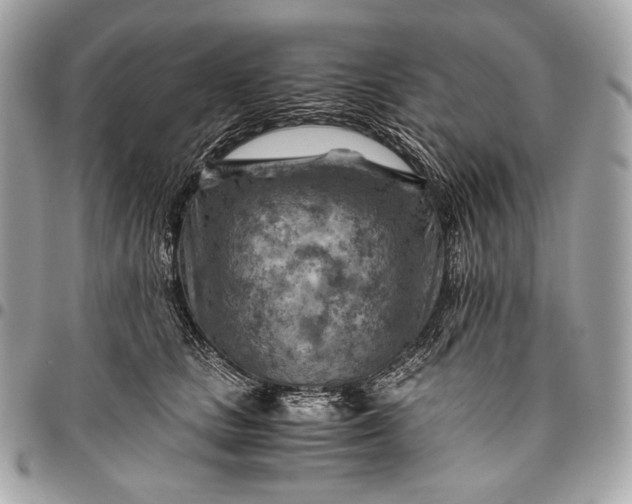 X0000096440661200802071749