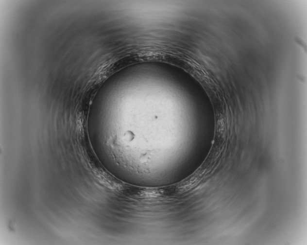 X0000096440662200802071749