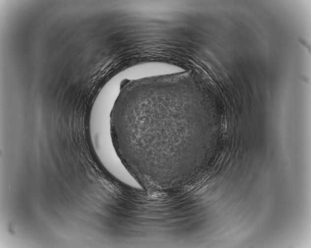 X0000096440663200802071749