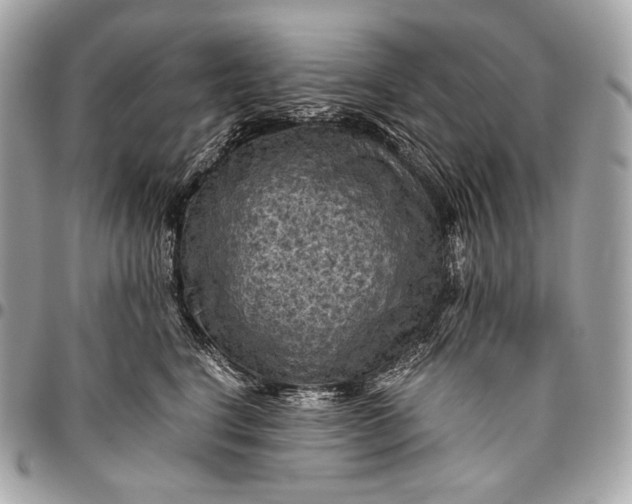 X0000096440664200802071749