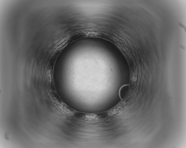 X0000096440666200802071749