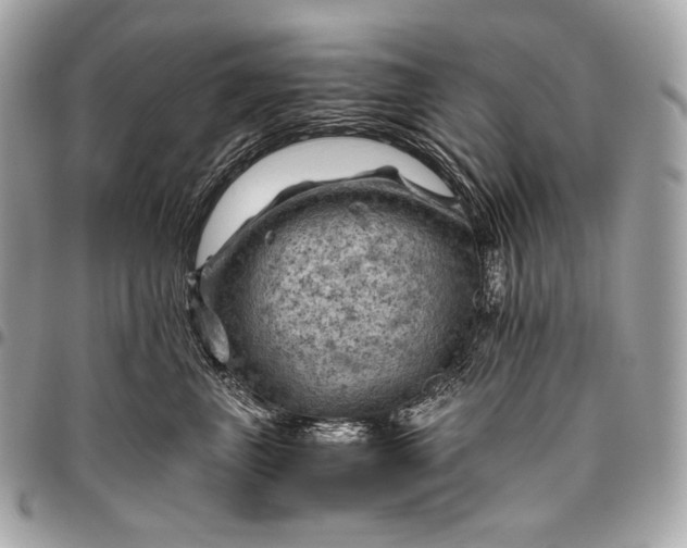 X0000096440667200802071749