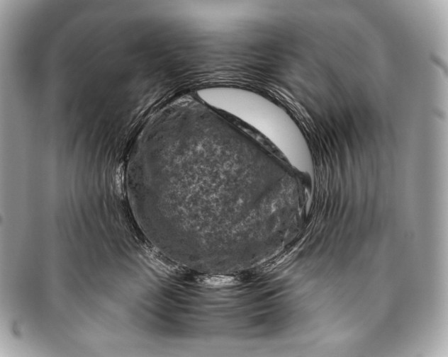 X0000096440669200802071749