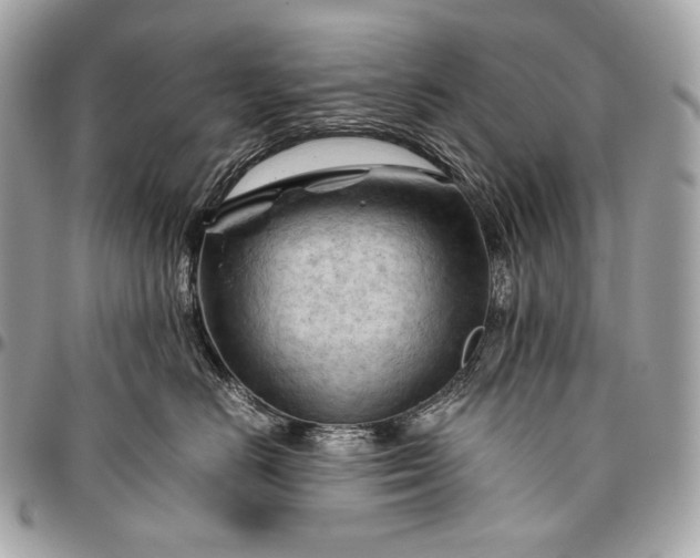 X0000096440670200802071749