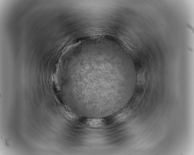 X0000096440671200802071749