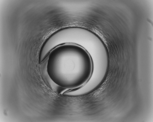 X0000096440673200802071749