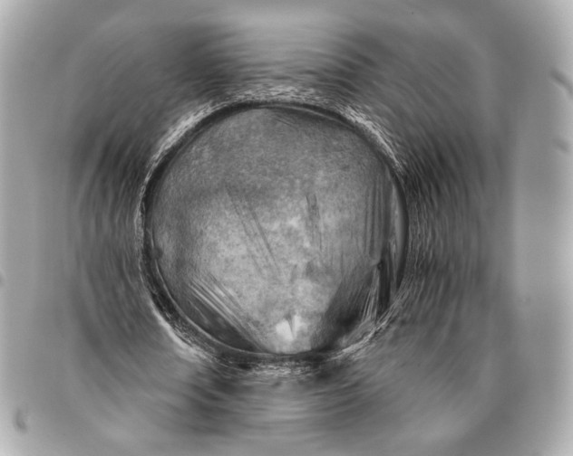 X0000096440674200802071749