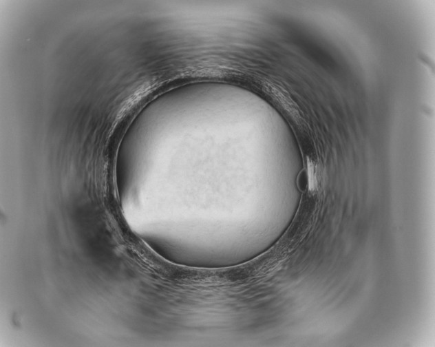 X0000096440675200802071749