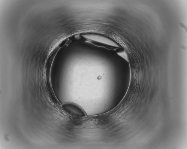 X0000096440676200802071749