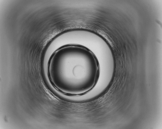 X0000096440677200802071749