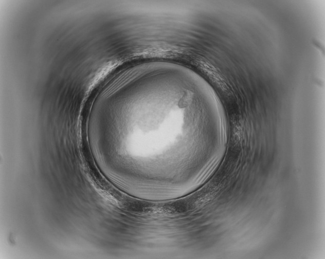 X0000096440678200802071749