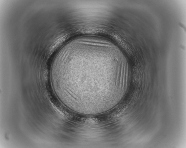 X0000096440683200802071748