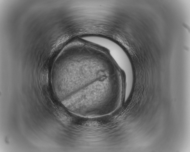 X0000096440685200802071748