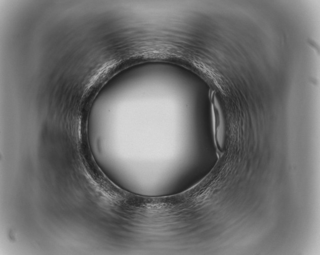 X0000096440686200802071748