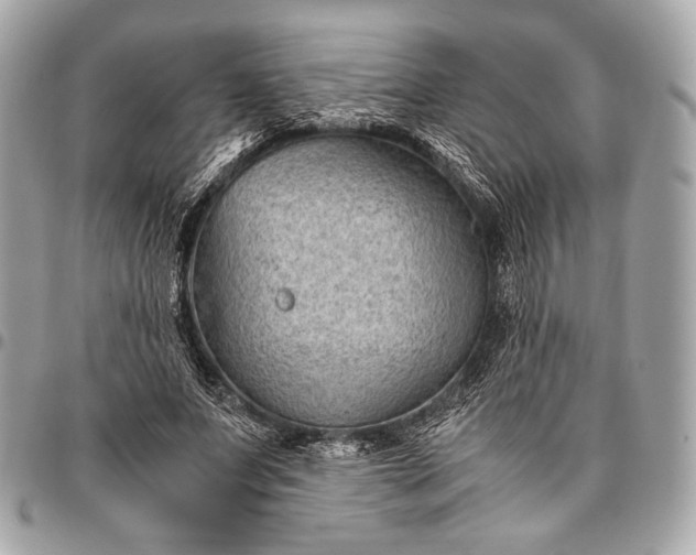 X0000096440687200802071748