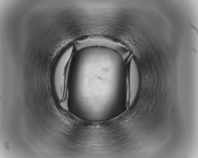 X0000096440688200802071748