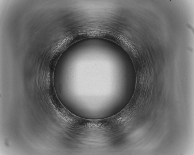 X0000096440690200802071748