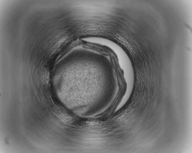 X0000096440693200802071748