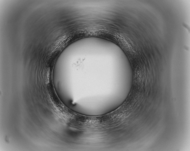 X0000096440694200802071748