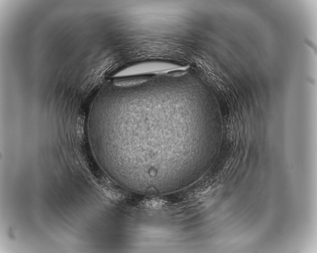 X0000096440695200802071748