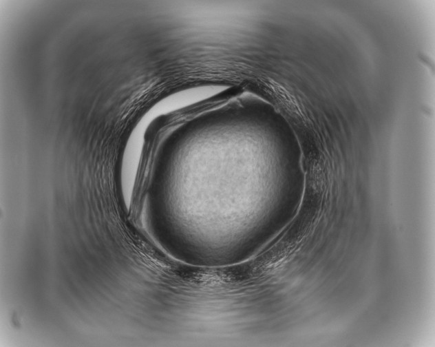 X0000096440697200802071748