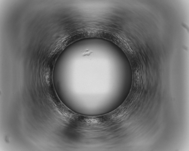 X0000096440698200802071748