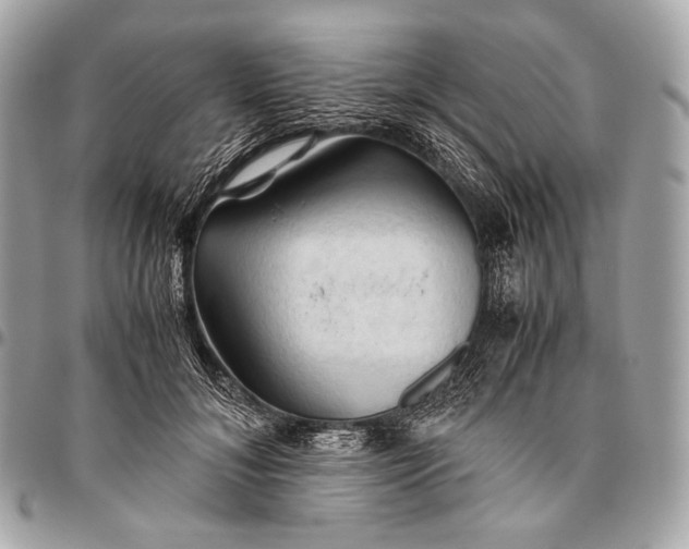 X0000096440700200802071748