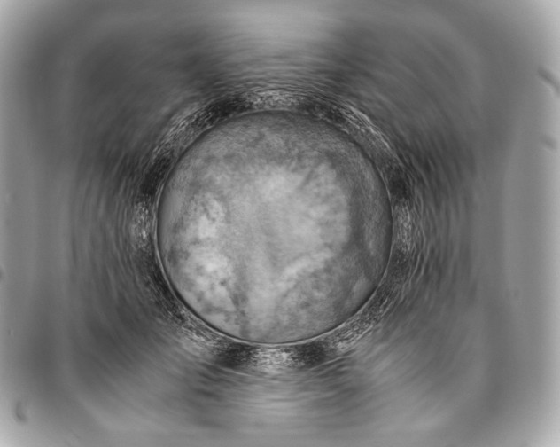 X0000096440701200802071748