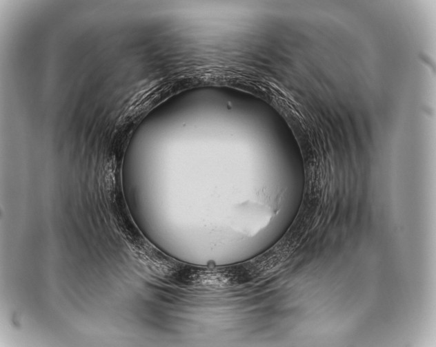 X0000096440702200802071748