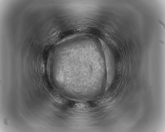 X0000096440703200802071748