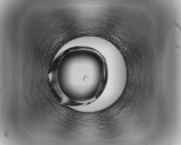 X0000096440705200802071748